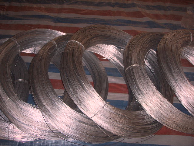 Galvanized  Wire