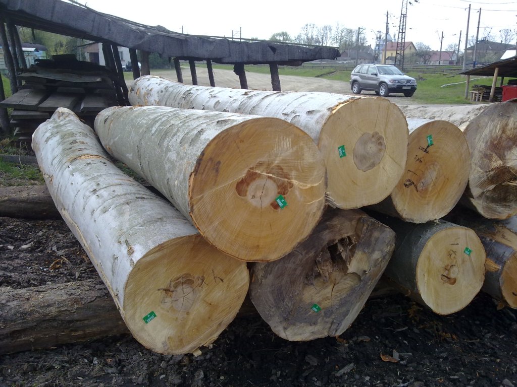 oak/beech/pine/spruce logs