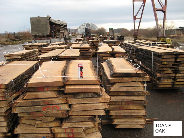 beech / oak boards