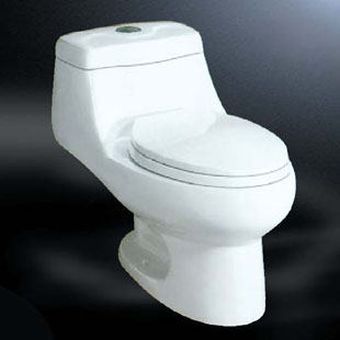 1 Piece Toilet Dual Flush CSA Approved 4GLY-999