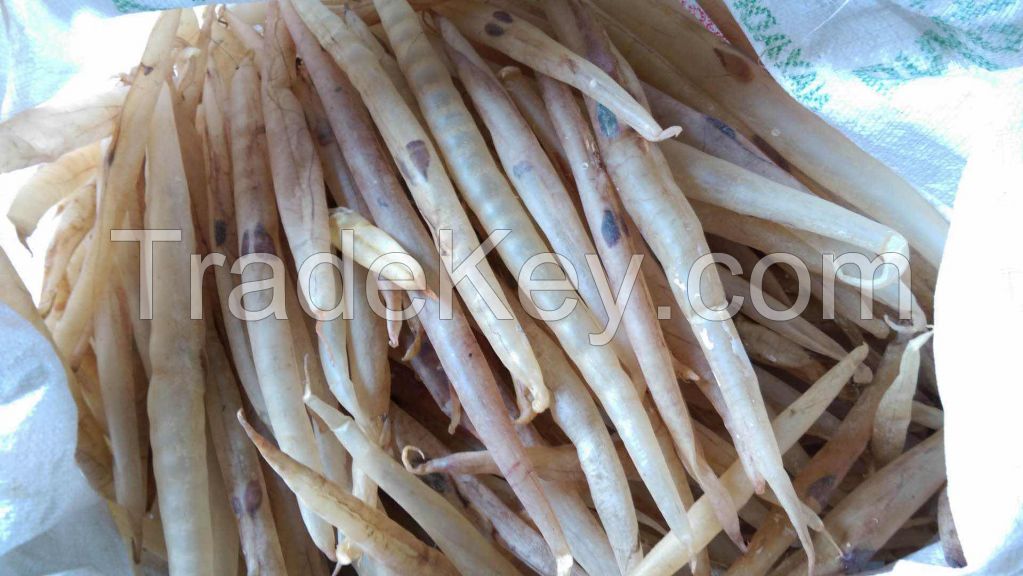 EEL FISH MAW ARE FOR SALE