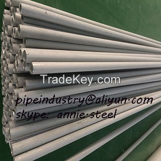 stainless steel seamless tube TP304L