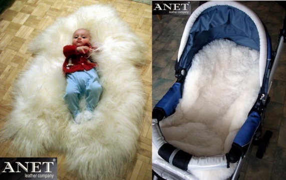 BABY LAMBSKINS   ECO WOOL    ECO PRODUCTS