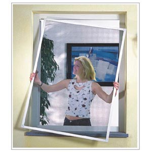 Frame Window
