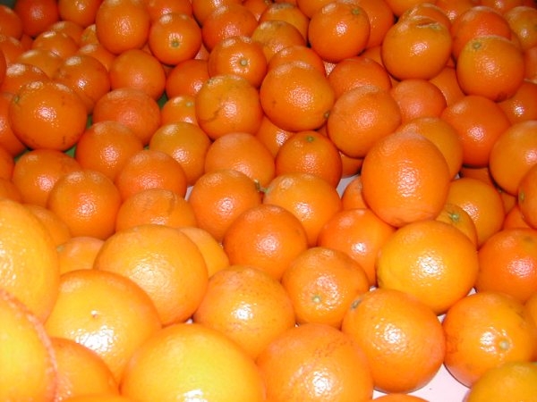 Oranges (valencia)