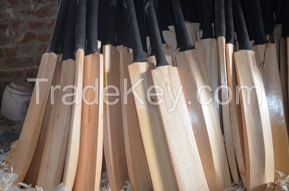Wooden Cricket Bat for Kids