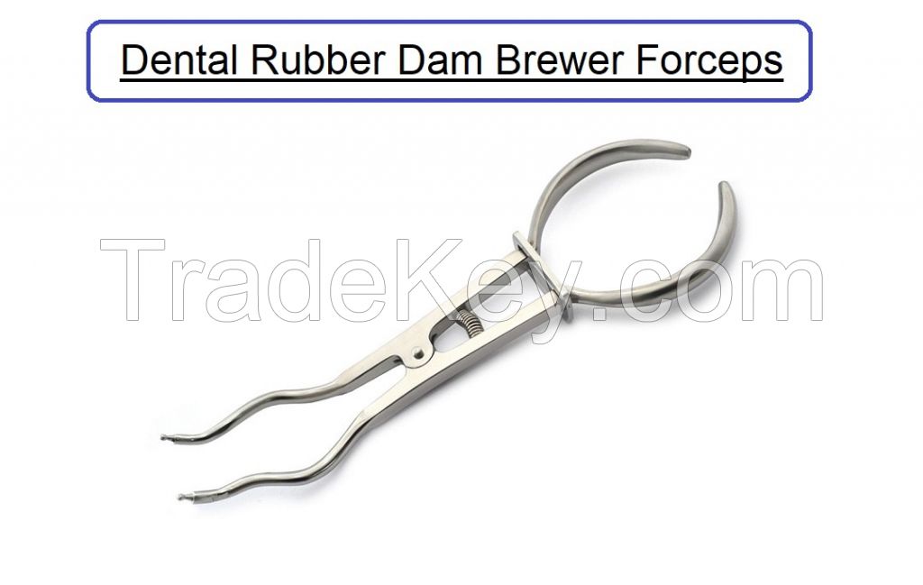 Dental Rubber Dam Brewer Forceps Plier Dental Surgical Instrument