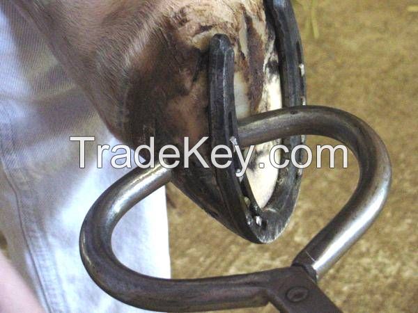 Veterinary Hoof Tester Plier Veterinary Surgical Instrument