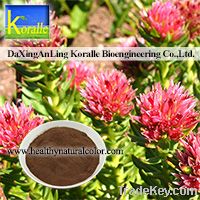 Rhodiola Rosea Extract(Rosavin 1%-5%, Salidrosides 1%-5%)