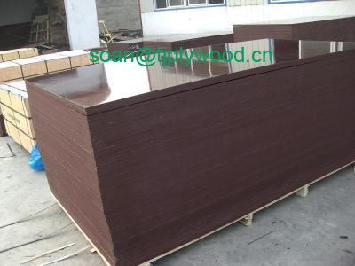 film faced plywood offer(*****)