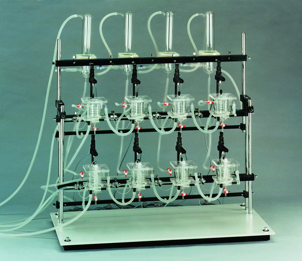 Multi chamber tissue bath system