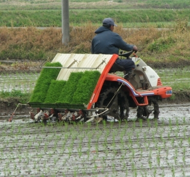 Rice Transplanting Machine