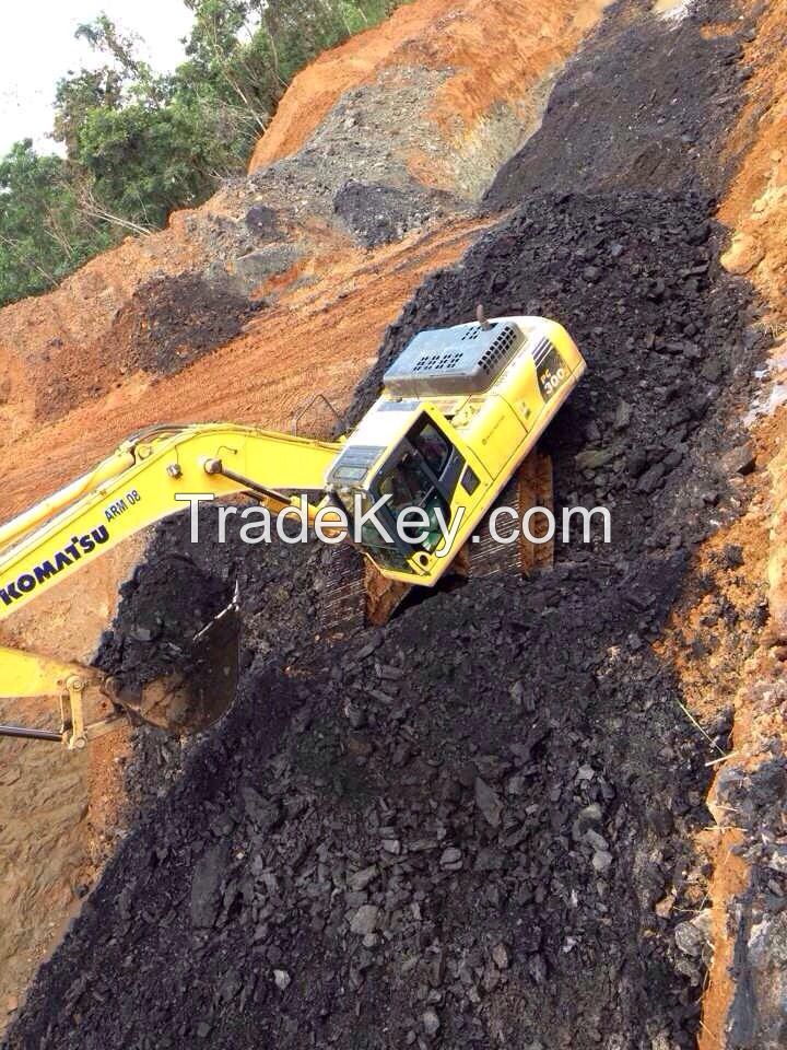 Indonesian Steam Coal with Mine Visit!!