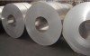 6. Stainless Steel Cold Rolled Coil & Strips