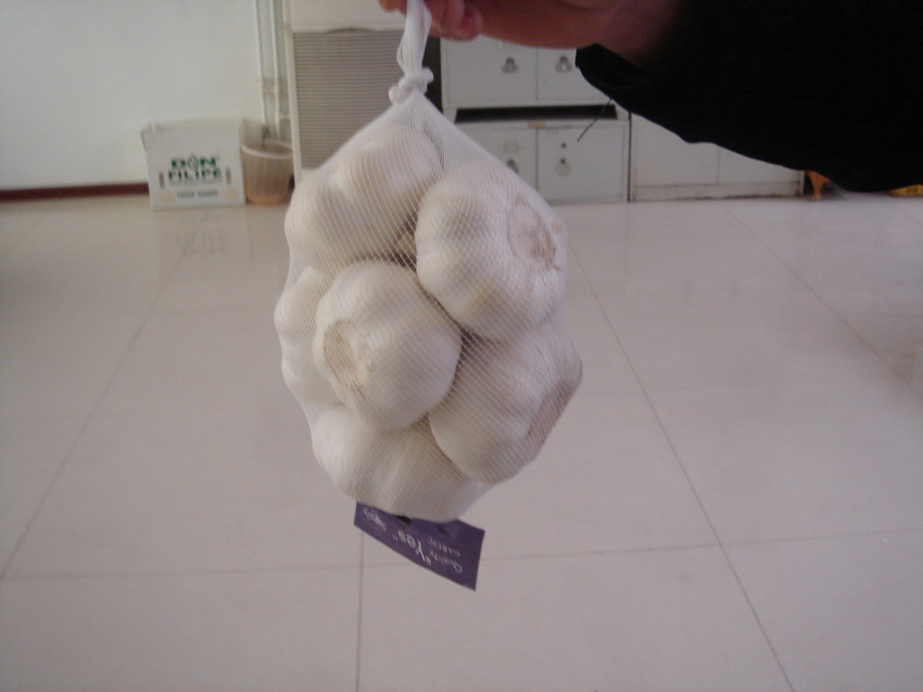white garlic, normal garlic