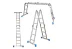 multi-purpose ladder