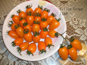 Grape Tomato Seeds