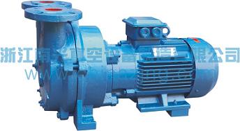 2BV(SKA) liquid ring vacuum pump