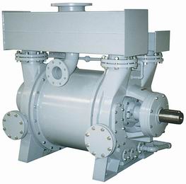 2BE liquid ring vacuum pump