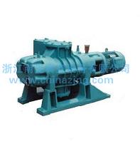 Roots vacuum pump