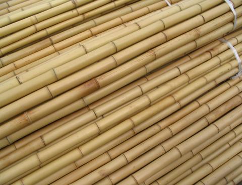 bamboo poles/bamboo canes