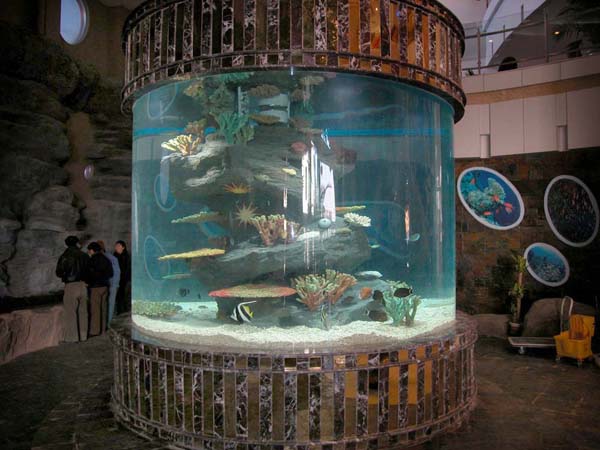 acrylic fish tank