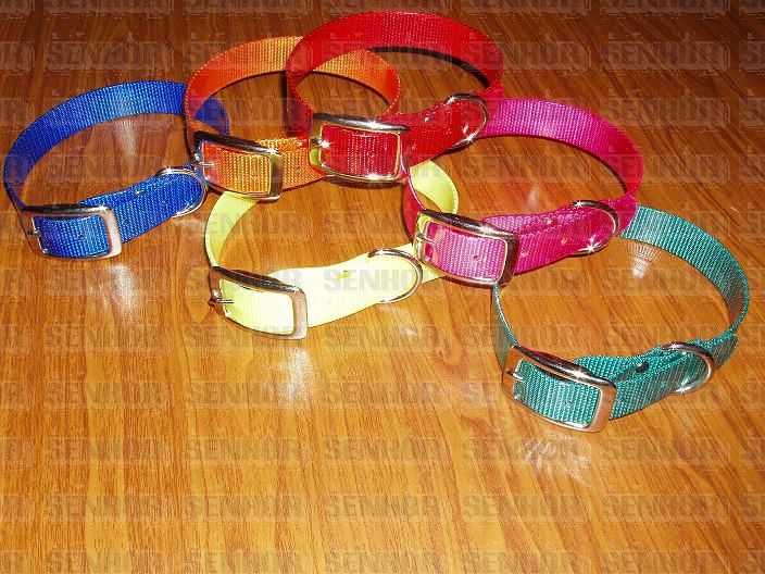 pet collar