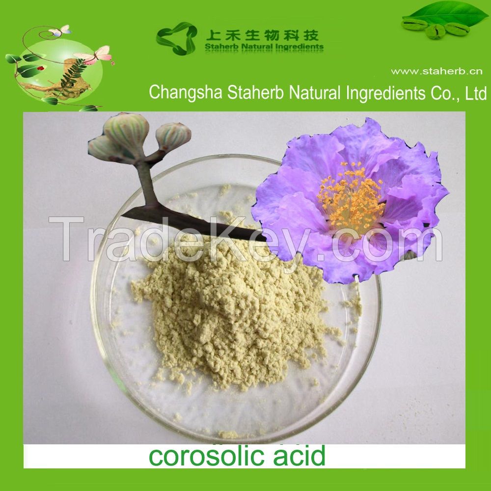 Factory supply Corosolic acid, banaba leaf extract, lose weight