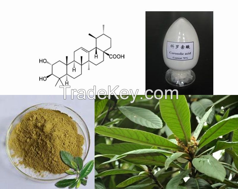 Factory supply Corosolic acid, banaba leaf extract, lose weight