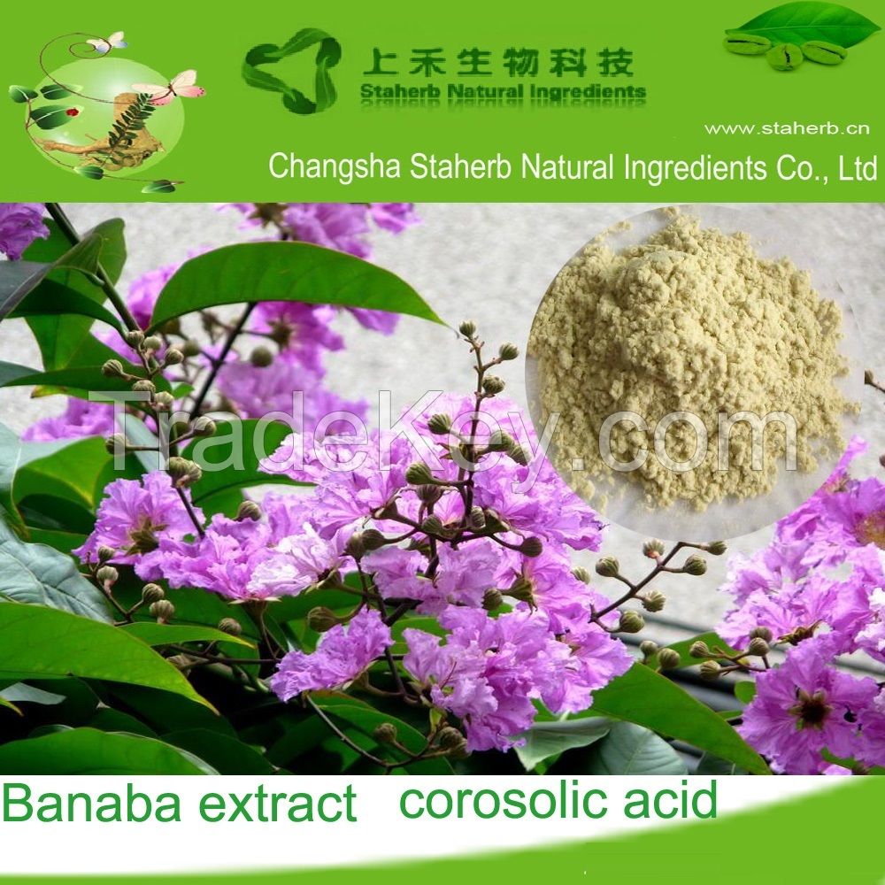 Factory supply Corosolic acid, banaba leaf extract, lose weight