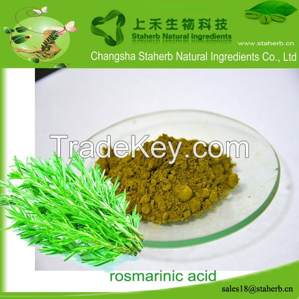 Factory supply Rosmarinic acid,Rosemary extract,Preservative
