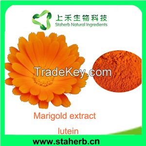 Factory supply Lutein,Marigold extract,colorant