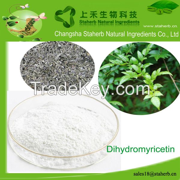 Factory supply Dihydromyricetin,Vine tea extract,Liver protect