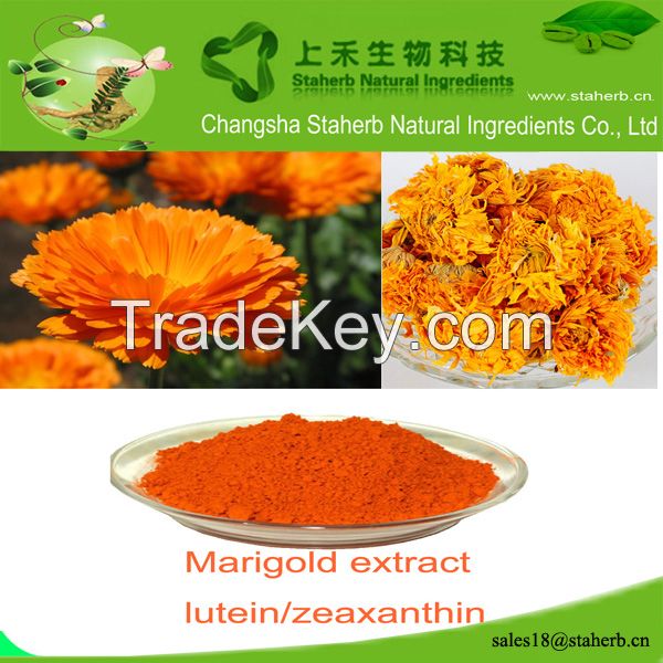 Factory supply Lutein,Marigold extract,colorant