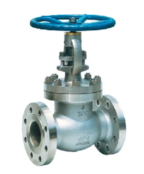 flanged/butt-welded globe valve