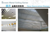 Metal Special Ceiling