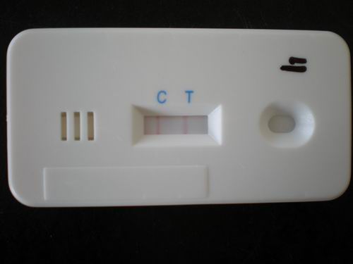 Food safety inspection test product