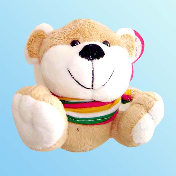 Recordable Plush Toy