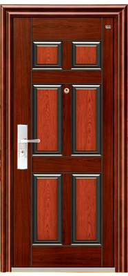 security door  1