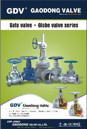 gate valve