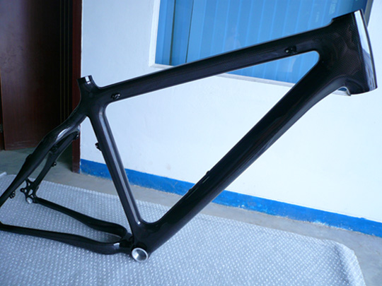 Carbon bike