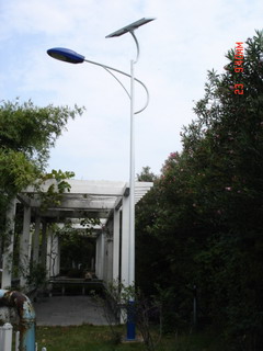 solar street light