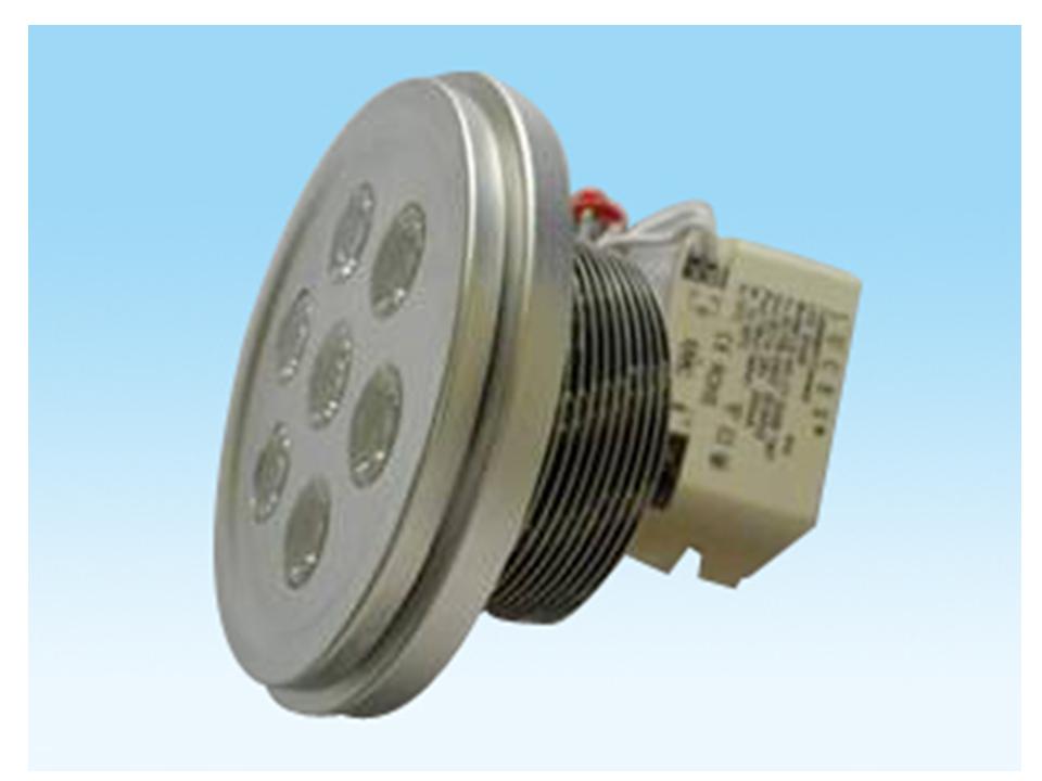 LED Downlight 1W7