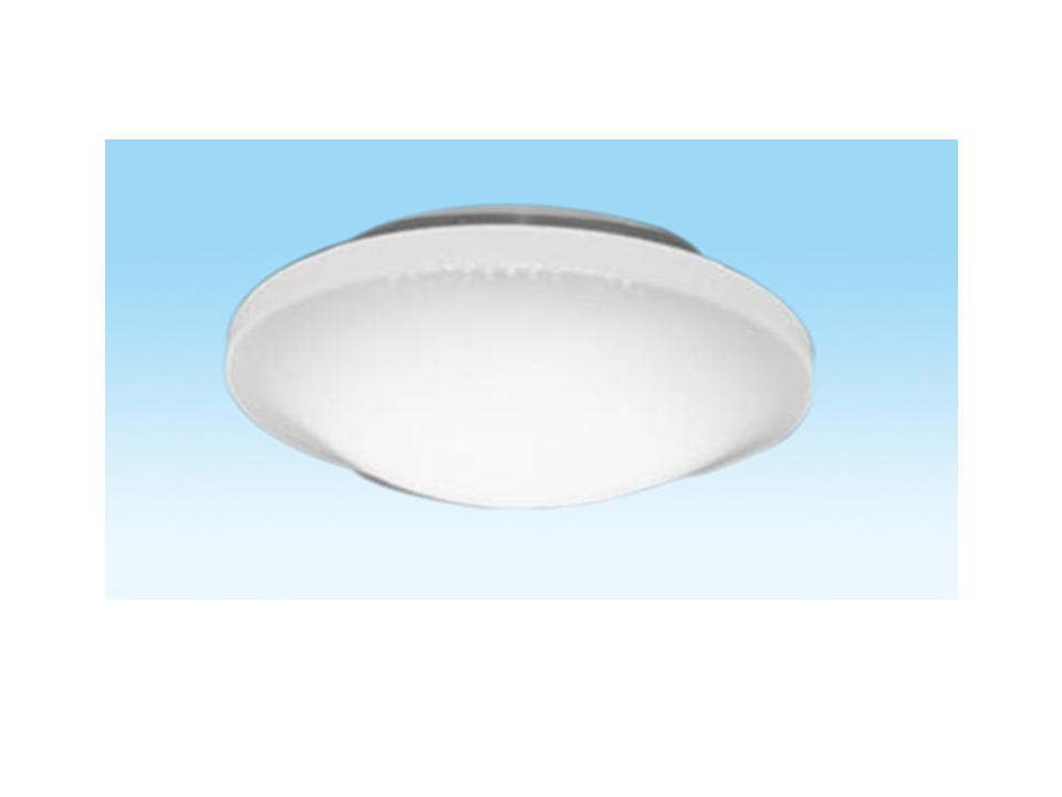 LED Ceiling Light C260-14/18W