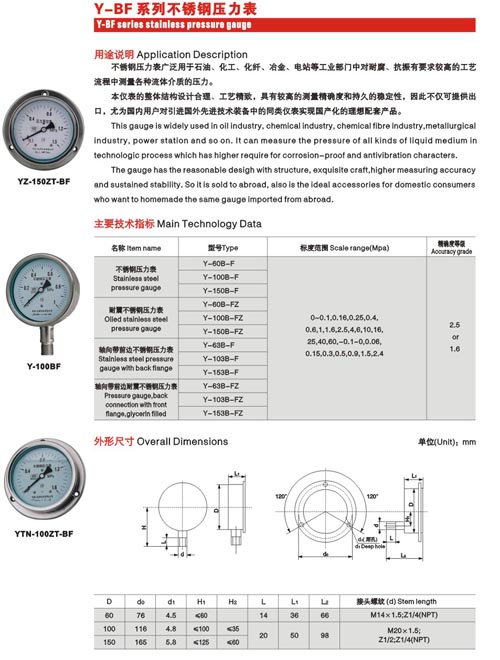 stainless steel pressure gauge