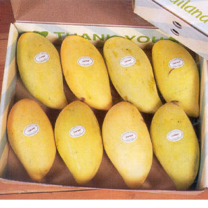 Fresh Dscount Pakistani Mangoes