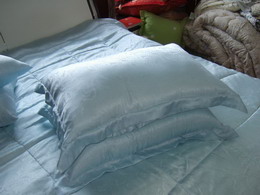 pure silk pillows QE-1011