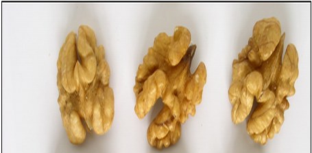 Walnut Kernels | Dried Fruits | Walnut Suppliers | Walnut Exporters | Walnut Manufacturers | Cheap Walnut | Wholesale Walnut | Discounted Walnut | Bulk Walnut | Walnut Buyer | Import Walnuts | Shelled Walnuts