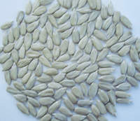 Sunflower Seeds