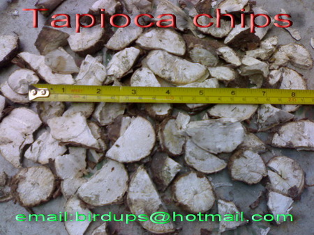 tapioca chips for Industrial grade  feed